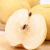 格沃斯（GEWOSI）梨山西贡梨新鲜水果脆甜果园直发10/5/3斤批发 精品大果80--90毫米 5斤净果