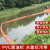 康迪普 围油栏轻型PVC桔红色WGV450固体浮子式拦污带水面防扩散拦油河道防污软围 桔红色PVC450