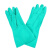 丁晴防护手套工业家务防水厨房食品耐油清洁耐磨防化学耐酸碱 L 绿色 10双nitrile丁晴手套