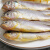 渔港 国内冷冻渤海小黄鱼 1000g 30-40条 独立2包装 烧烤食材 海鲜水产