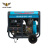 帕扎特 250A柴油发电电焊机（单缸）工地学校医院应急发电设备救援设备 PT250HC