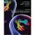 The Cognitive Neurosciences sixth edition 认知神经科学第6 高清PDF非扫描件