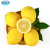 千朵云四川安岳黄柠檬新鲜水果皮薄当季精选柠檬 1500g 120-150g