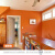 早川彩色乳胶漆油漆室内墙面防水白色内墙环保带颜色翻新涂料 暖橙色 1L