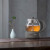 小熊（Bear） 煮茶器养生壶 玻璃加厚迷你小型黑茶电茶炉 办公室小容量电热泡煮茶壶 灰色ZCQ-A10Q1