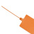 飞尔（FLYER）大标牌式尼龙扎带 吊牌理线带 标签扎带 80×100mm 橙色【100根】