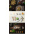 美食餐饮psd分层素材高清图片食物牛排西餐菜单海报广告设计模板大小15GB