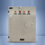 立阳 LY02-TK-10标准箱 照明箱 明装 600*300*250 1.5mm 白色 1 