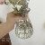 美克杰简约玻璃花瓶水养韩式现代创意家居客厅餐厅干花插花装饰摆 现代韩式南瓜:15cm透明色