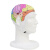 脑电定位帽经颅磁定位帽韧性可定制经久耐用脑电图电极帽舒适 20导L（成人大号）
