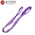 迪万奈特 柔性环形吊带多规格大吨位工业起重吊带高强度柔性涤纶吊装带 1T*10M紫色 