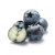 秘鲁进口蓝莓 2盒装 125g/盒 中秋水果
