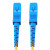 东电通信（DODEM） SC/UPC-SC/UPC-SM-2.0-3M 易损耗辅材 电信级 3米