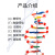 定制DNA双螺旋结构模型大号分子结构模型学生用生命科学教学仪器 DNA双螺旋结构模型