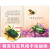 法布尔昆虫记（全8册）新小牛顿科普启蒙绘本1-3年级小学生阅读书籍少儿文学读物