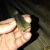 钢板防护罩铜滑道耐磨黄铜机床铜条铜滑道数控机床铜滑轨耐磨铜片 4X15铜滑道（2米）