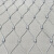 丰昂 不锈钢绳网动物园笼舍鸟语林编织绳网安全防护防坠网柔性防护网 2毫米粗5厘米孔/平米价