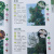 【包邮】常见树木图鉴 500种常见园林植物识别图鉴 500种常见花卉识别图鉴 209种常见花草图鉴 190种多肉植物图鉴 美丽的树发现之旅 植物学家的筷子和银针 轻松辨识282种常见树木：常见树木图鉴