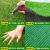 仿真草坪地毯人工假草皮户外铺垫人造塑料草绿色围挡足球场幼儿园 2.5厘米加密款1米宽x5米长