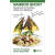 预订 Bamboo Shoot: Superfood for Nutrition, Health and Medicine 英文原版