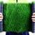 大工象 仿真塑料草坪 10mm加密款 2*25m 50平方米/卷 假草皮人工地毯草 军绿色