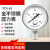 北京布莱迪BLD仪表YTH63F不锈钢气液油耐高温真空全钢指针压力表 0-1MPA 现货