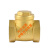 铜止回阀水管水泵用逆止阀自来水单向阀 大型DN100(硬密封)(4寸)