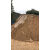 水泥沙子乐山广汉黄沙中粗黄沙水泥河沙成都装修沙拉法基成都专用 拉法基水泥