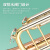 新宝（XinBao）乐器铜管小号乐器黄铜降B调按键考级演奏用TR500P型磷铜白铜 TR600型白铜