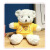 地推玩偶可爱呆萌网红泰迪熊公仔礼盒小熊带礼盒彩灯毛绒玩具 玫瑰绒-黄色卫衣-白熊 30厘米 0.2kg