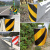 护栏端头反光膜40路边黄黑斜纹反光贴高速道路交通立柱警示反光标 10cm级黄色45米长
