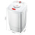 先科（SAST）158A脱水机烘干机家用甩干机热烘干一体机甩干桶迷你干衣机衣服宿舍用