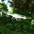乐帆（lefant）无人机儿童遥控飞机 大型无人机四轴飞行器航模儿童玩具飞机 标准版【无摄像头】+送4片扇叶