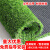 康之伴（KANGZHIBAN）塑料草坪地毯仿真人造假草坪加密人工室内装饰足球场阳台绿色垫子 25mm加密加厚彩虹草