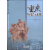 重庆历史与文化：八年级课本（下册）