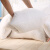 布美莱 靠垫抱枕芯羽丝绒加厚方垫靠枕芯 单只 靠垫抱枕芯-白色 40×40cm