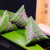 水晶西米粽子 肇庆特产手工粽子紫薯粽豆沙粽绿茶粽 绿茶西米粽6只（6*50g）