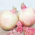 蔬果哆 新鲜水果 云南蒙自特产  甜石榴 粉籽 石榴 3kg 六斤 今年新货 单果约300g