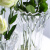 Delisoga 透明玻璃花瓶 冰恋款小号 欧式简约创意干花水培插花鲜花工艺品摆件 家用客厅办公桌装饰 轻奢家居