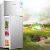 奥克斯（AUX） BCD-66A138L双门小型大电冰箱两门 家用双门冷冻冷藏保鲜节能省电 租房用 银色