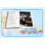 【正版包邮】DK儿童目击者·第2级 精装版全套20册 儿童科普百科全书