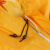 谋福 多功能连体防护服防尘服防雨服劳保雨衣工作服 粉末喷漆打磨 橙色 加大3XL185