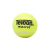 天龙网球训练球初学进阶专业比赛网球 801初学一袋 60个无赠品