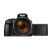 尼康（Nikon） Coolpix P1000 高倍变焦便携数码相机