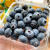 秘鲁进口新鲜蓝莓当季水果蓝莓鲜果蓝梅鲜蓝莓新鲜时令 【划算】 8盒装