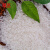 秋然 【2023新米上市】大米 当季新米 清香稻米5kg方正大米现磨现发