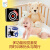 婴幼儿视觉激发拉拉卡：黑白拉拉卡+彩色拉拉卡(套装共4册)宝宝婴儿追视早教卡 海润阳光