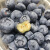 秘鲁进口新鲜蓝莓当季水果蓝莓鲜果蓝梅鲜蓝莓新鲜时令 【划算】 8盒装