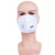 LISM德国1211耳戴式防雾霾口罩 男女KN95带呼吸阀 骑行透气白色独立包 耳戴式1211口罩20个一盒