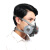 LISM防毒口罩防毒面具化工喷漆农药甲醛异味防烟电焊防气体防毒口罩装 口罩+10个过滤盒